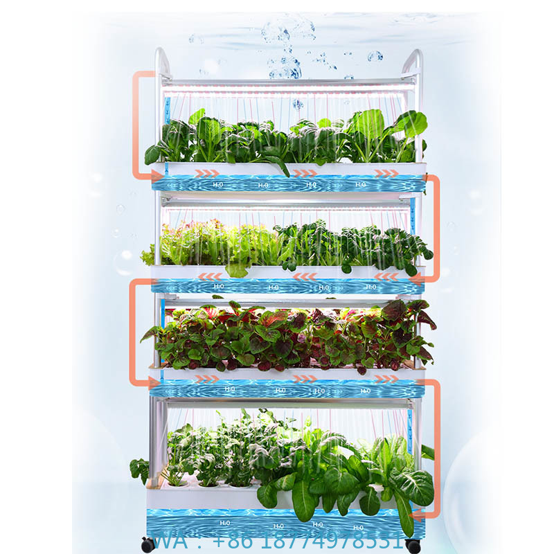 ydroponic Planting System Smar - Diy Automation recension och pris
