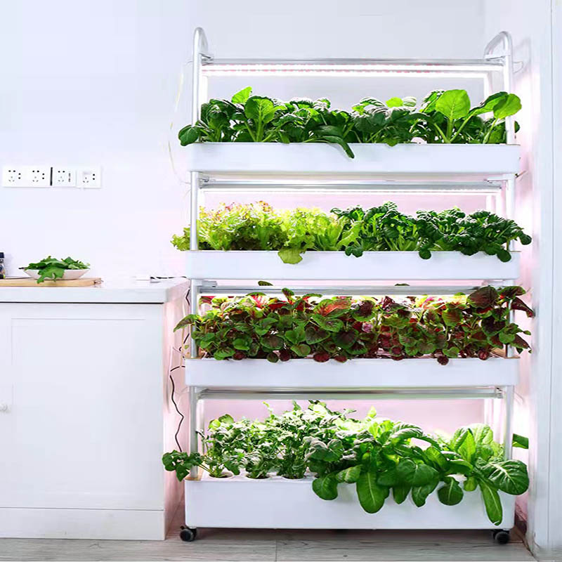 ydroponic Planting System Smar - Diy Automation recension och pris