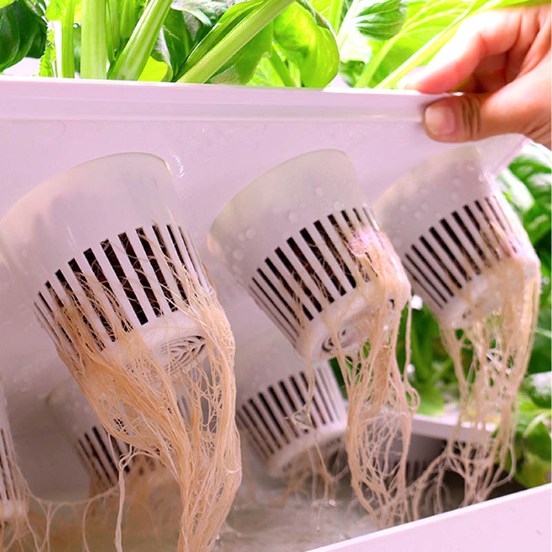 ydroponic Planting System Smar - Diy Automation recension och pris