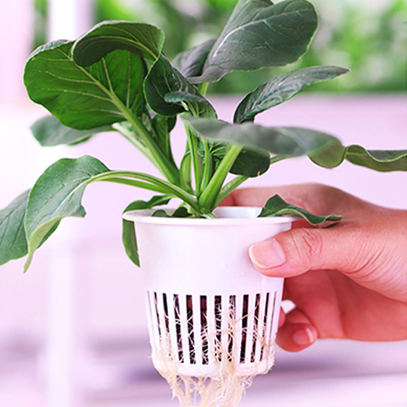ydroponic Planting System Smar - Diy Automation recension och pris